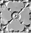 APM Windermere 150mm opt