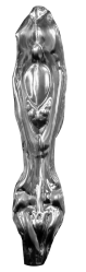 18_apm_ella_may_mitre