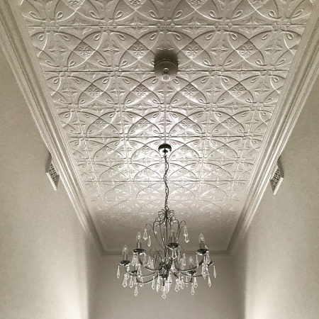 apm camillia hall ceiling opt
