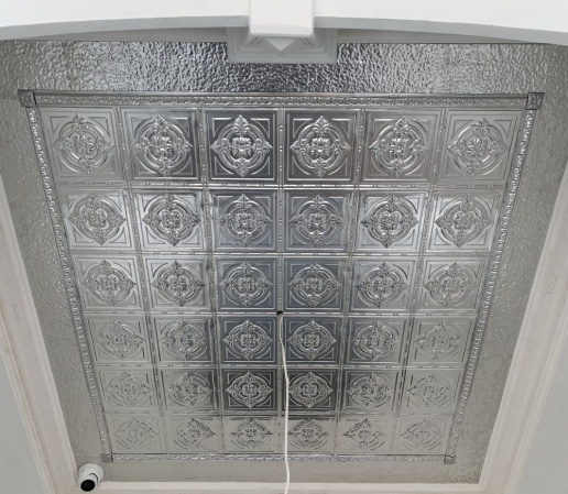 apm_dudley_ceiling_insert_j_rsz